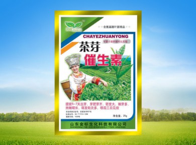 茶芽催生素